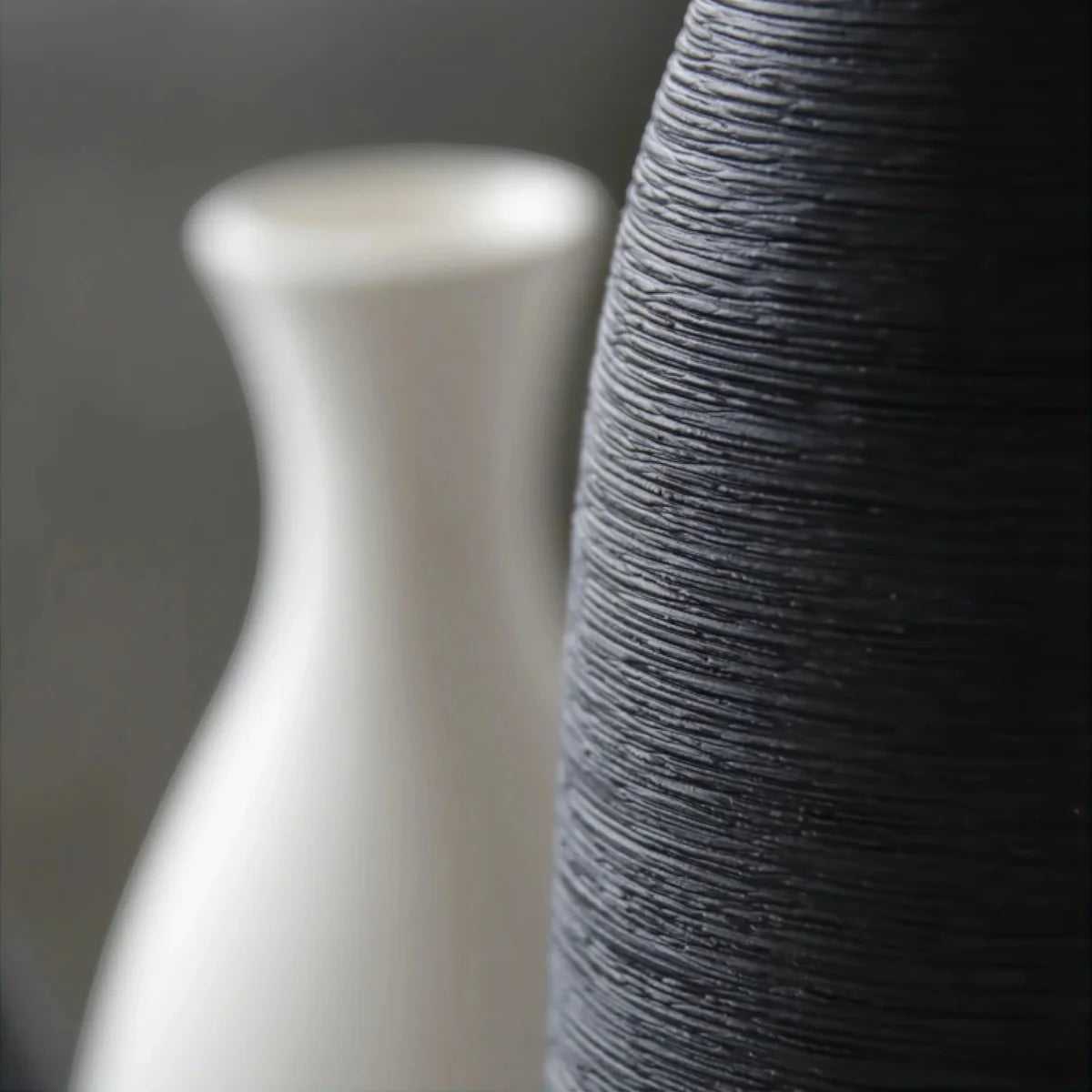 Vase Intemporel – Élégance Moderne pour Tous les Espaces