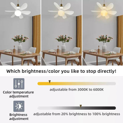 Ventilateur de Plafond LED avec Télécommande – Installation Sans Câblage
