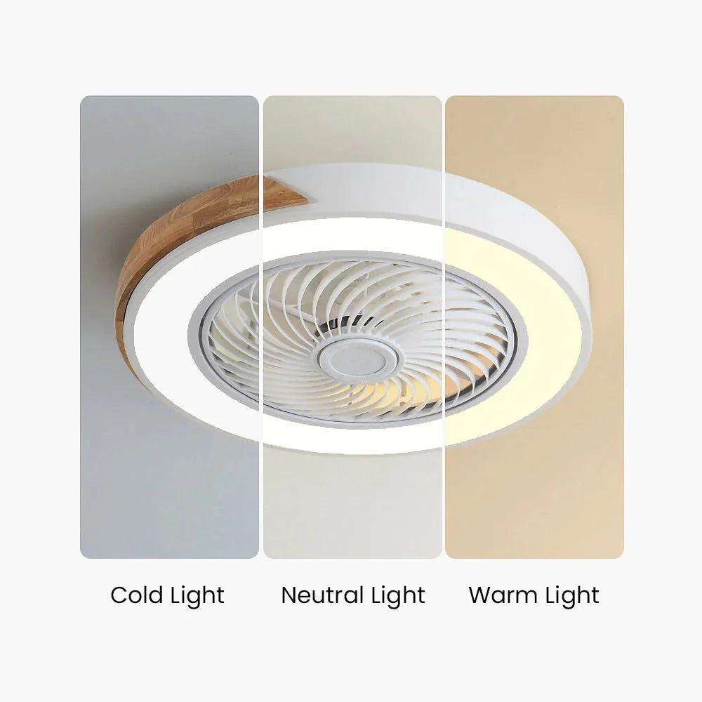 Ventilateurs de Plafond en Bois avec Lumières LED